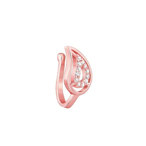 Nose pin 1